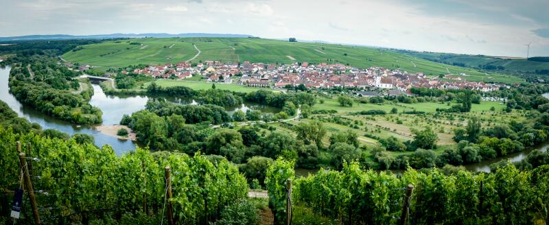 Wandg.2017 5