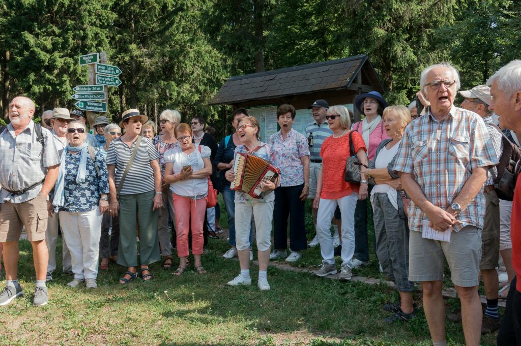 Wandg.b2019
